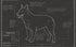 Blueprint of Australian cattle dog blue healer poster artwork