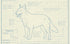 Blueprint of Australian cattle dog blue healer poster artwork