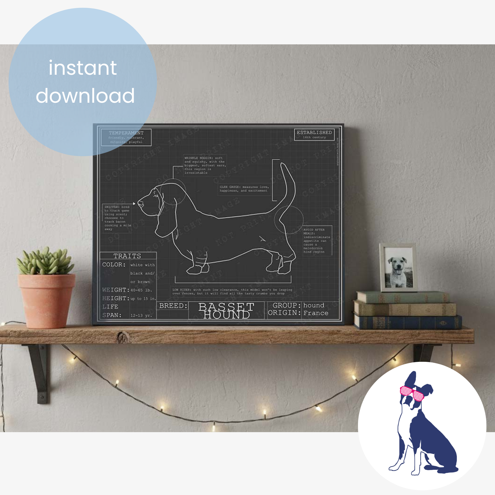 Downloadable Basset hound dog breed blueprint artwork