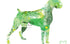 Green and yellow boxer silhouette art print