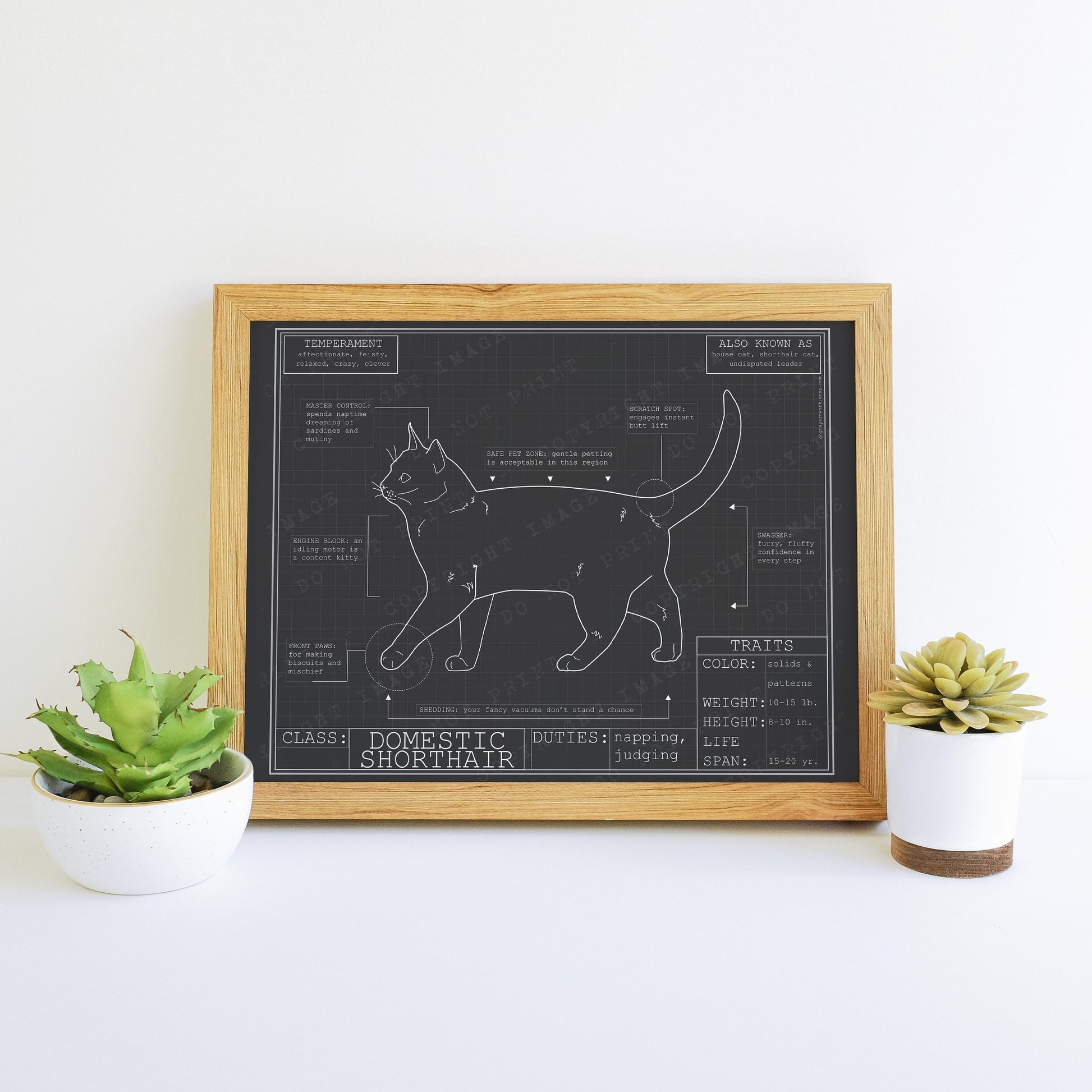Downloadable cat blueprint artwork