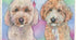 Custom pet portrait Two doodle dogs with a colorful watercolor background