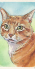 Custom pet portrait Artistic illustration of an orange tabby cat with green eyes on a watercolor background