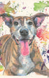 Custom pet portrait Colorful watercolor painting of a dog with a multicolored splatter background