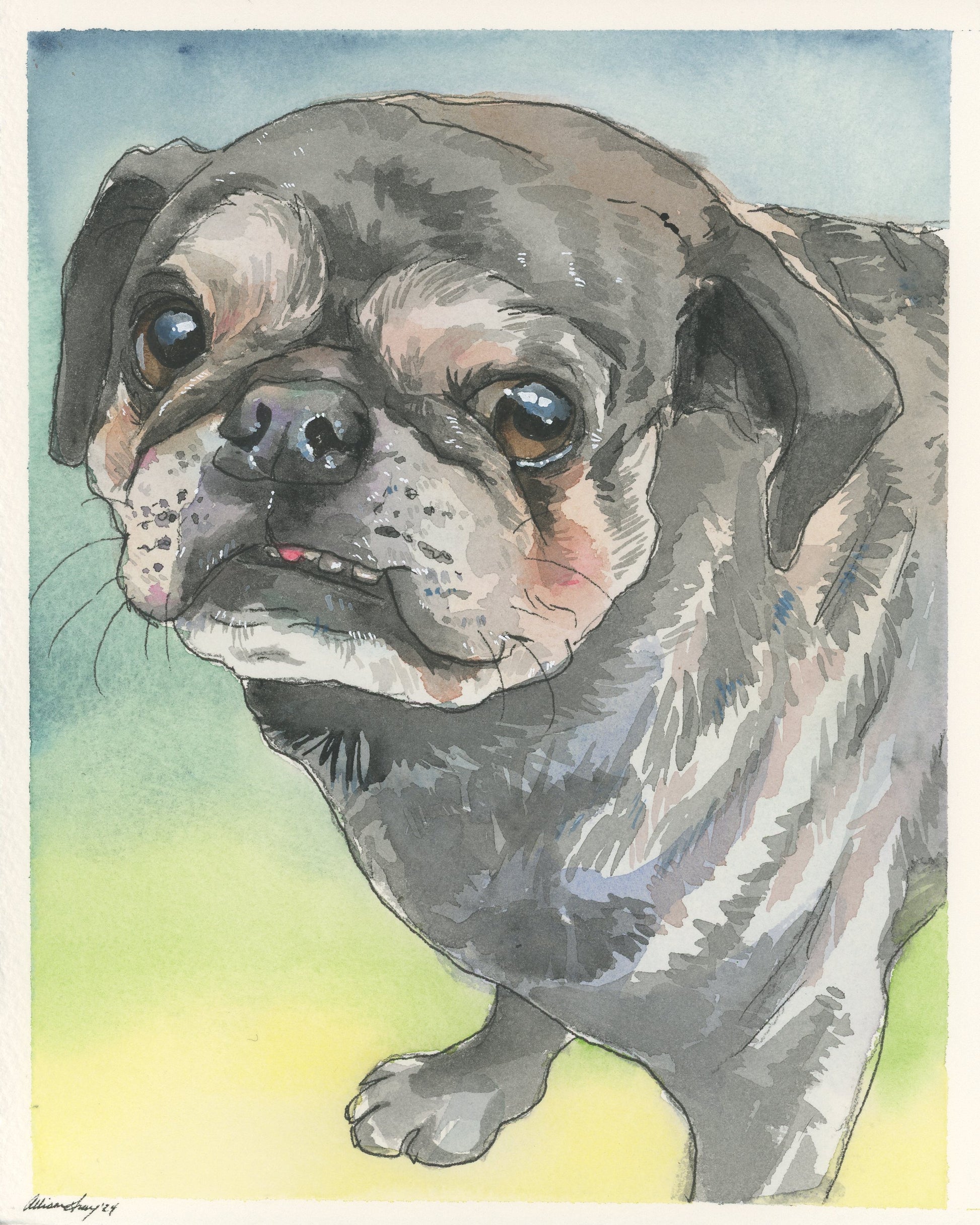 personalized pet art Artistic illustration of a pug dog with a watercolor background