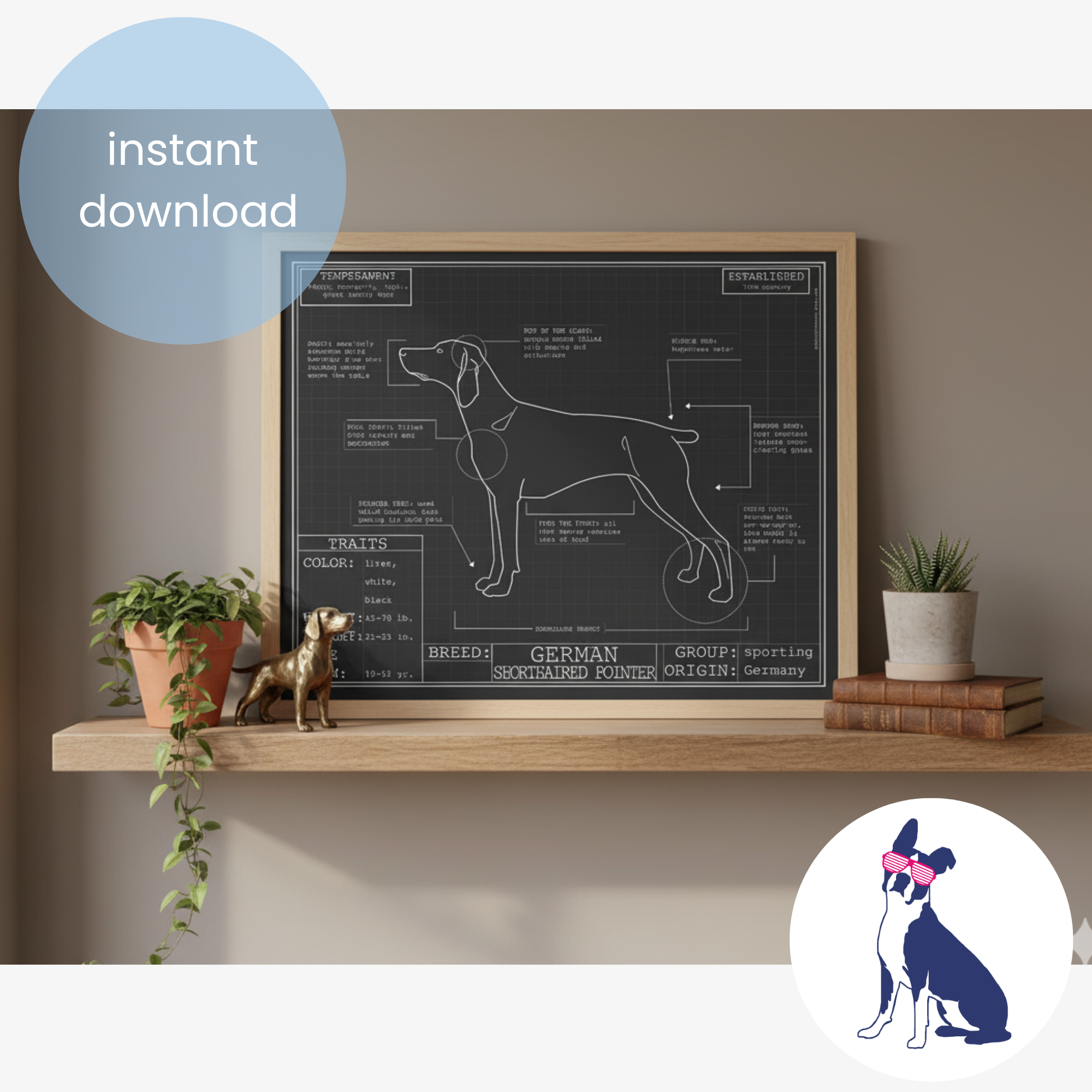 Downloadable German Shorthaired Pointer dog breed blueprint artwork