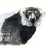 watercolor painting of a lemur