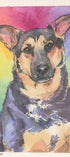 Custom memorial pet portrait Colorful watercolor painting of a dog with a rainbow background