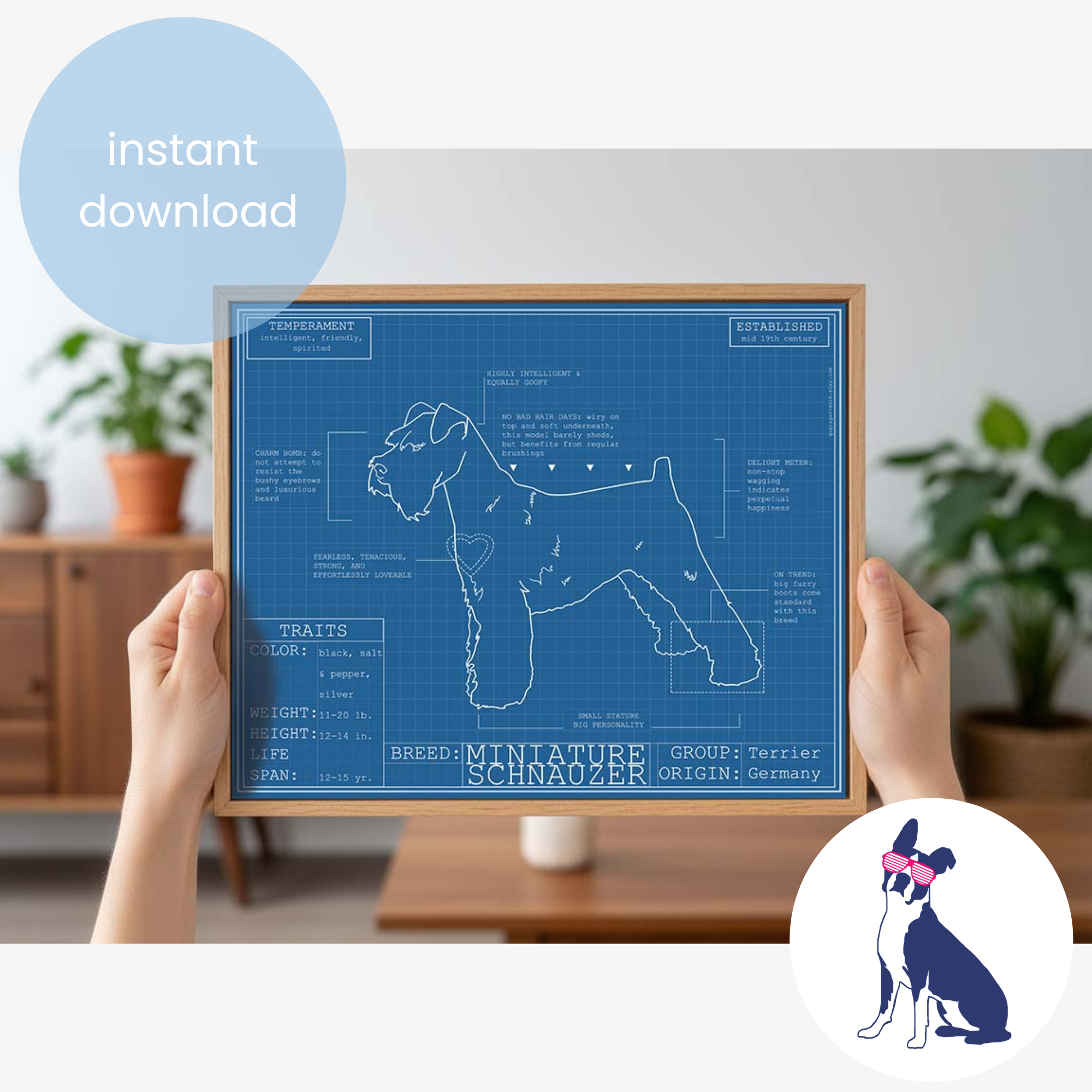 Downloadable miniature schnauzer dog breed blueprint artwork