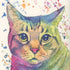 Colorful watercolor painting of a cat with abstract background