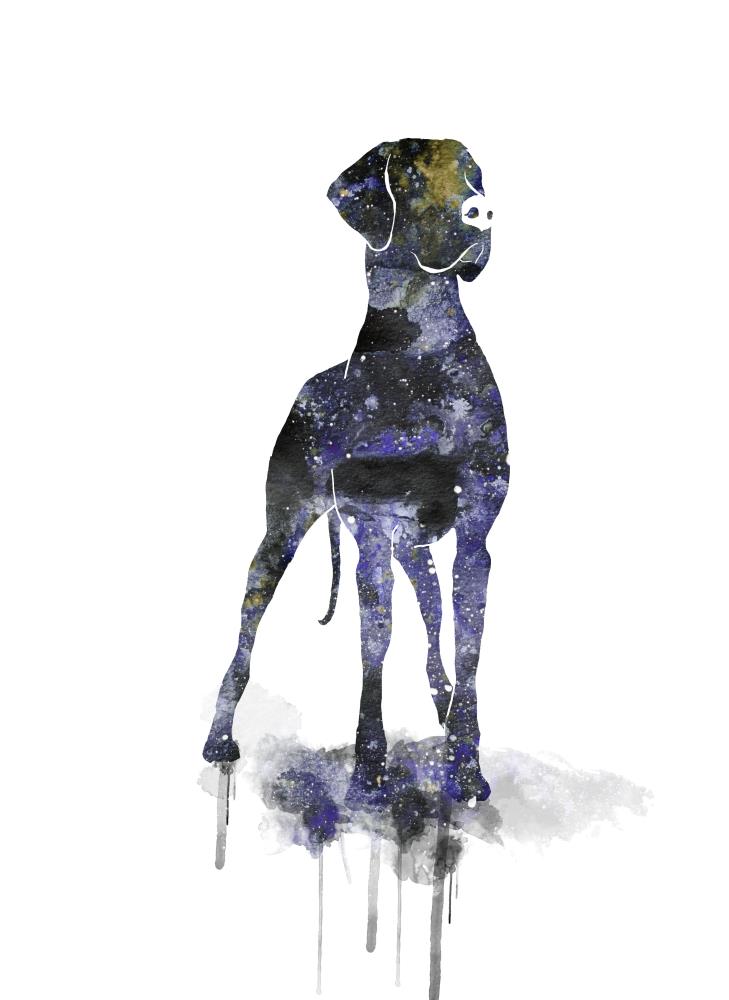Great Dane cosmic silhouette art print