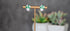 Green colored toadstool stud earrings