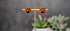 Orange paw print stud earrings with black pads
