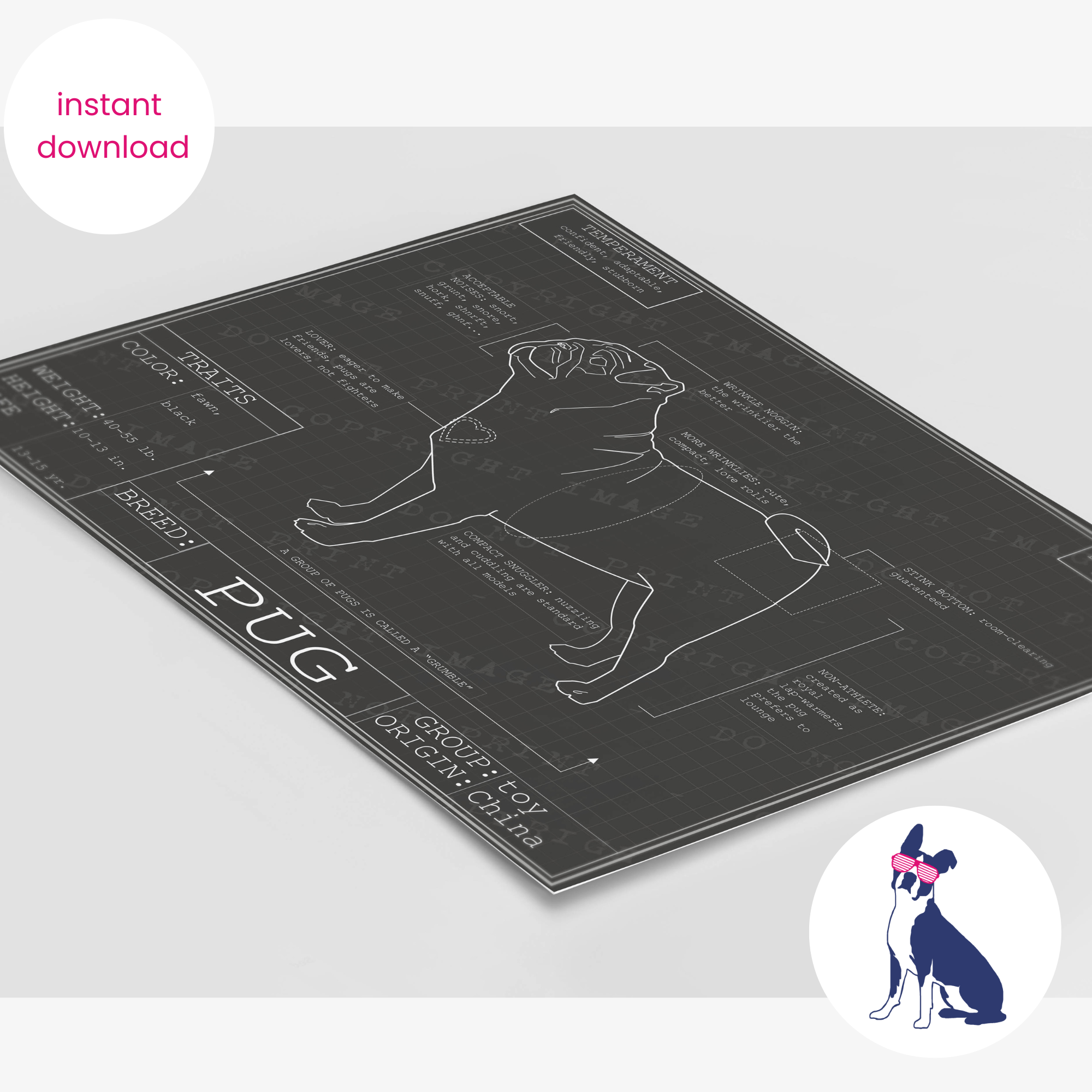 Downloadable pug dog breed blueprint artwork
