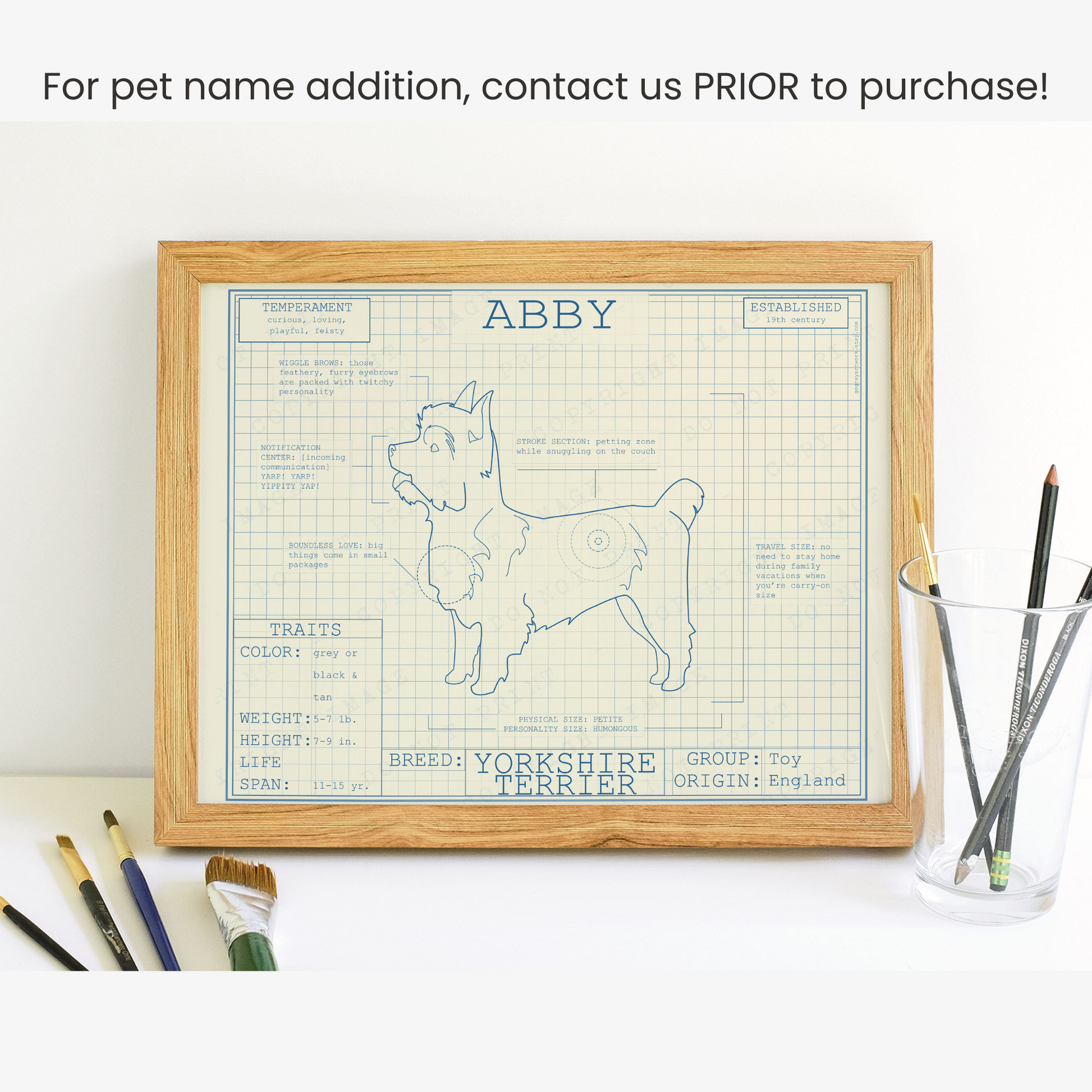 Yorkshire Terrier Dog Breed Blueprint - Instant Download Files