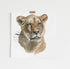 Original watercolor of a lioness head with a plain background