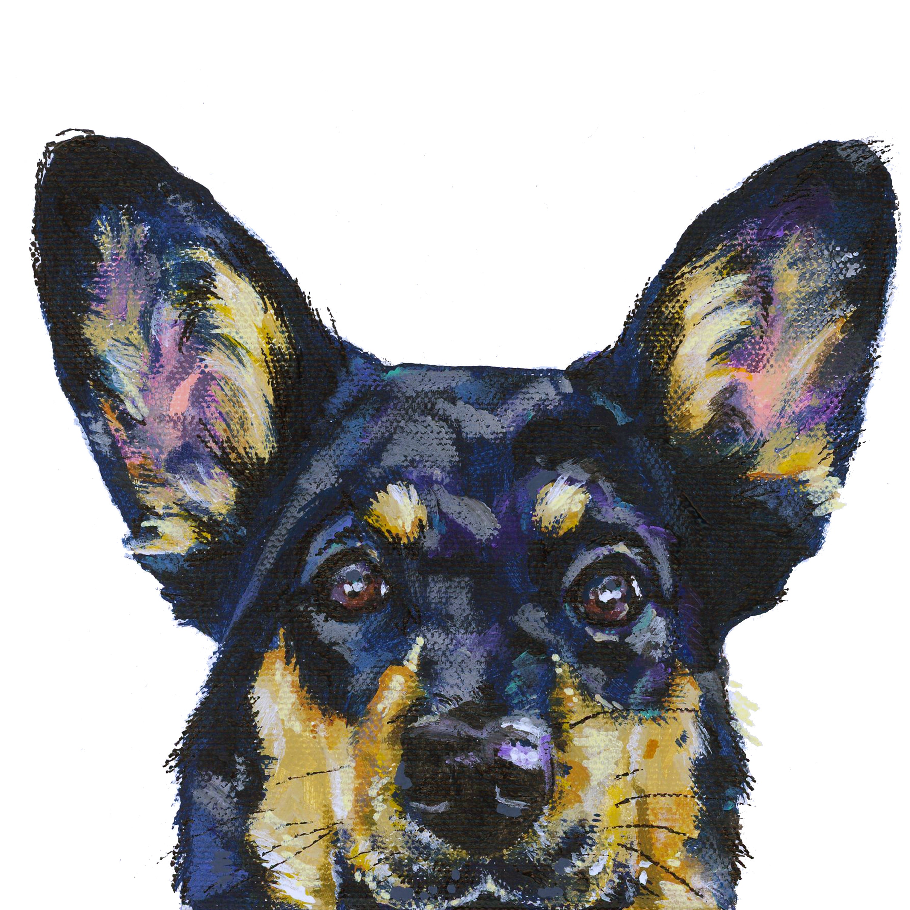 Acrylic painting on canvas of peeking Australian shepherd