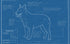 Blueprint of Australian cattle dog blue healer poster artwork