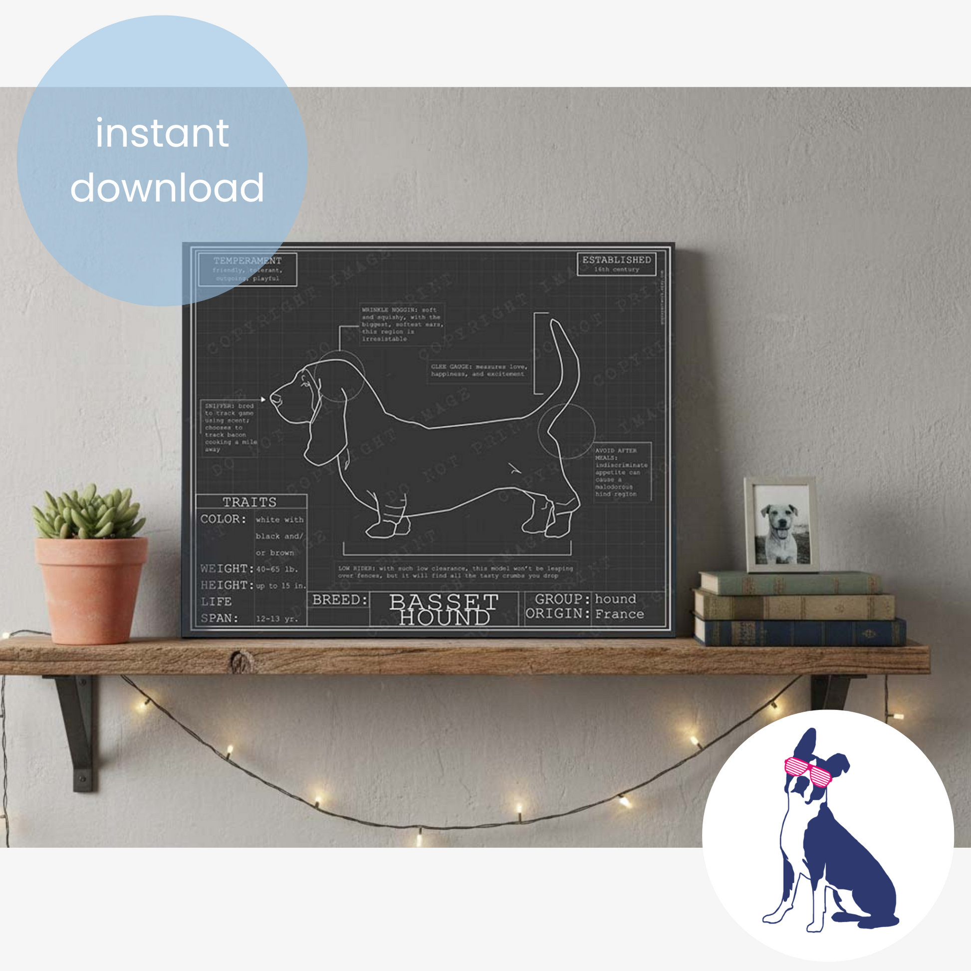 Downloadable Basset hound dog breed blueprint artwork
