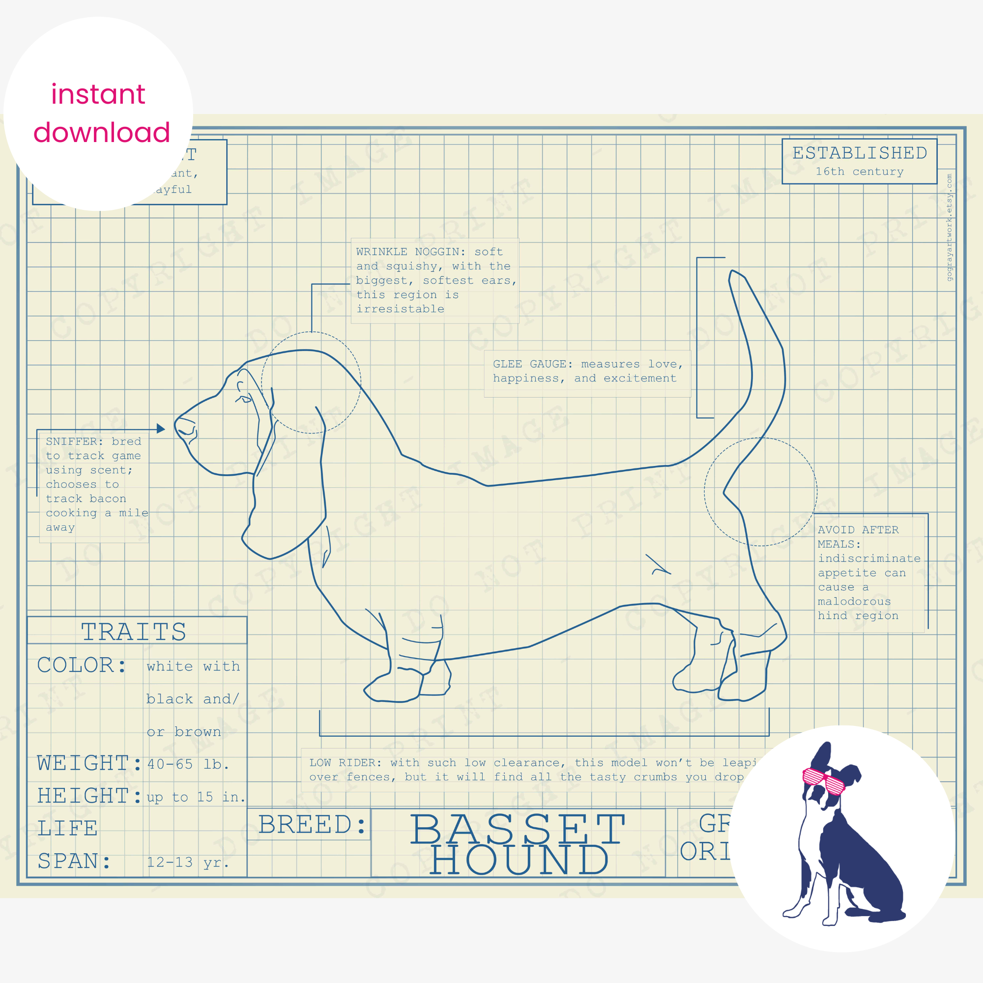 Downloadable Basset hound dog breed blueprint artwork