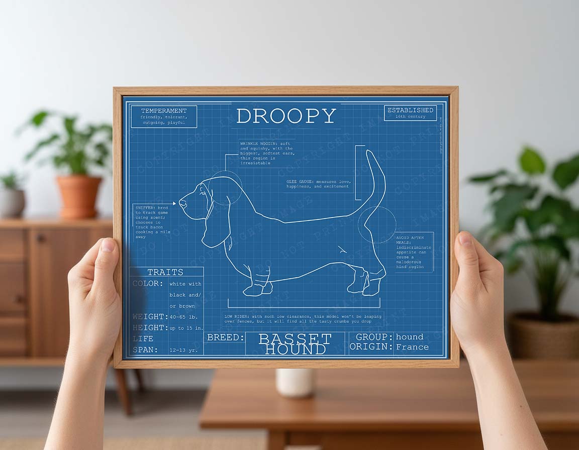 Downloadable Basset hound dog breed blueprint artwork