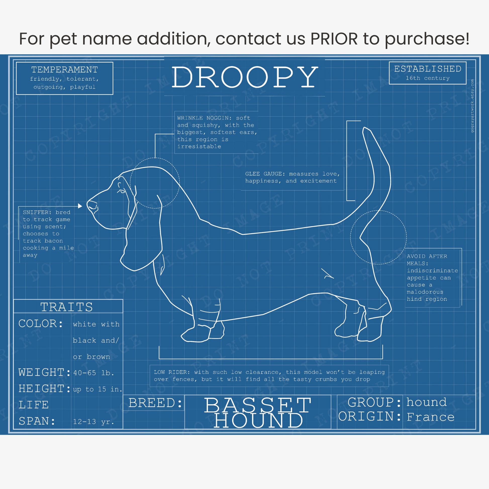 Downloadable Basset hound dog breed blueprint artwork