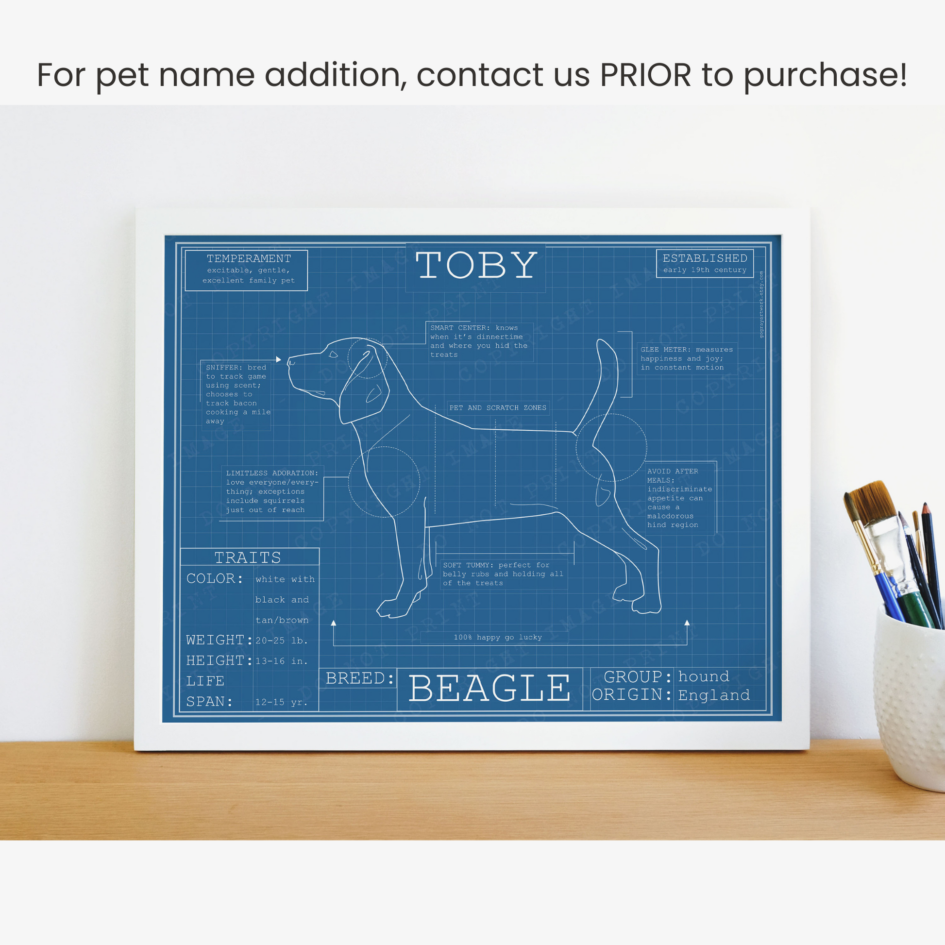 Downloadable beagle dog breed blueprint artwork