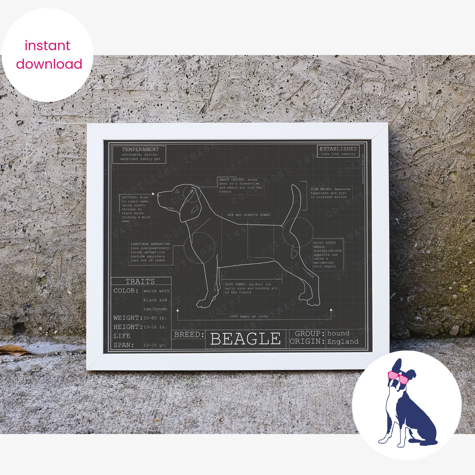 Downloadable beagle dog breed blueprint artwork