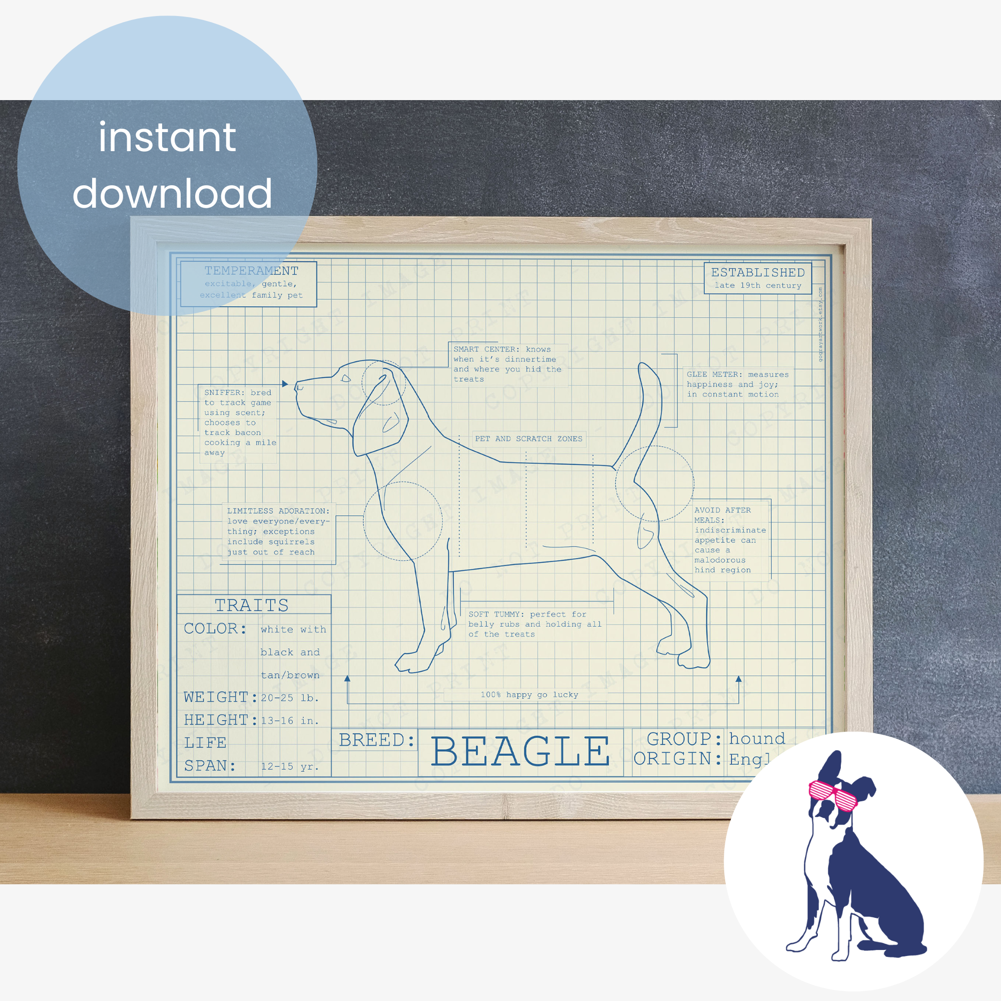 Downloadable beagle dog breed blueprint artwork