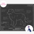 Downloadable Bernese Mountain dog breed blueprint artwork
