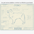 Downloadable Border collie dog breed blueprint artwork