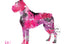 Colorful boxer dog illustration with a pink and black art print
