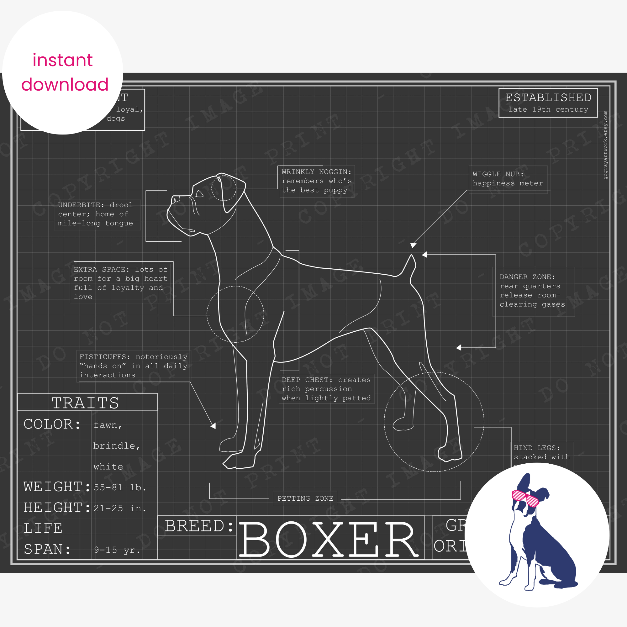Downloadable boxer dog breed blueprint artwork