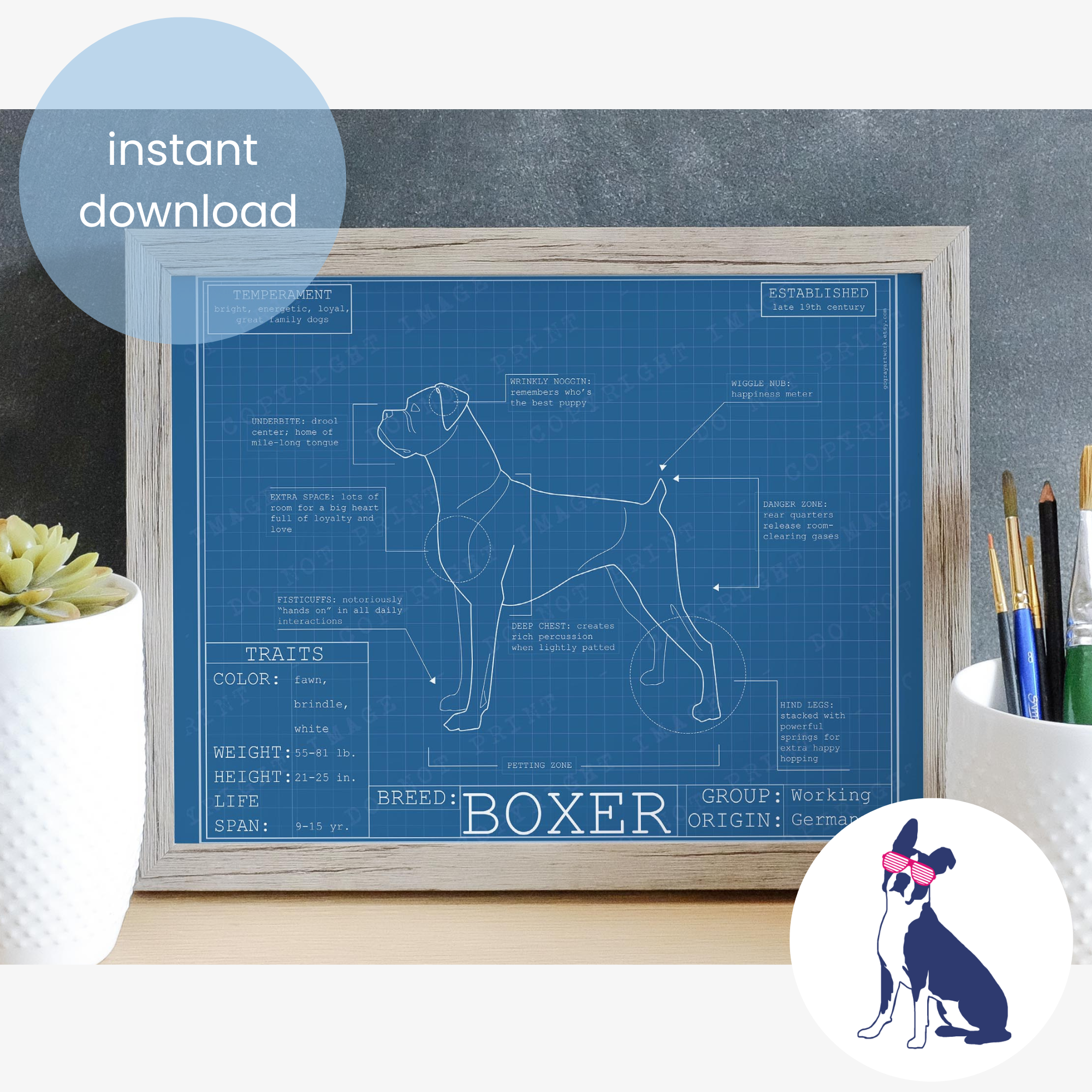 Downloadable boxer dog breed blueprint artwork