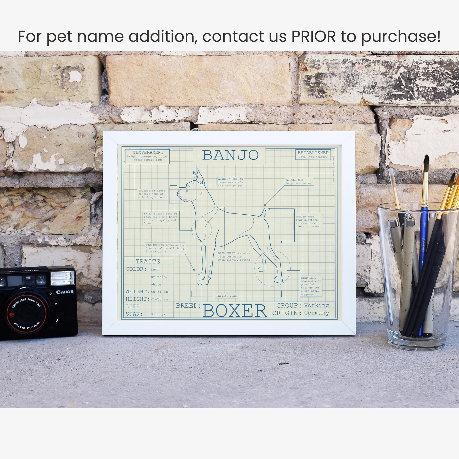 Downloadable boxer dog breed blueprint artwork