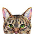 Acrylic painting of peeking brown tabby cat