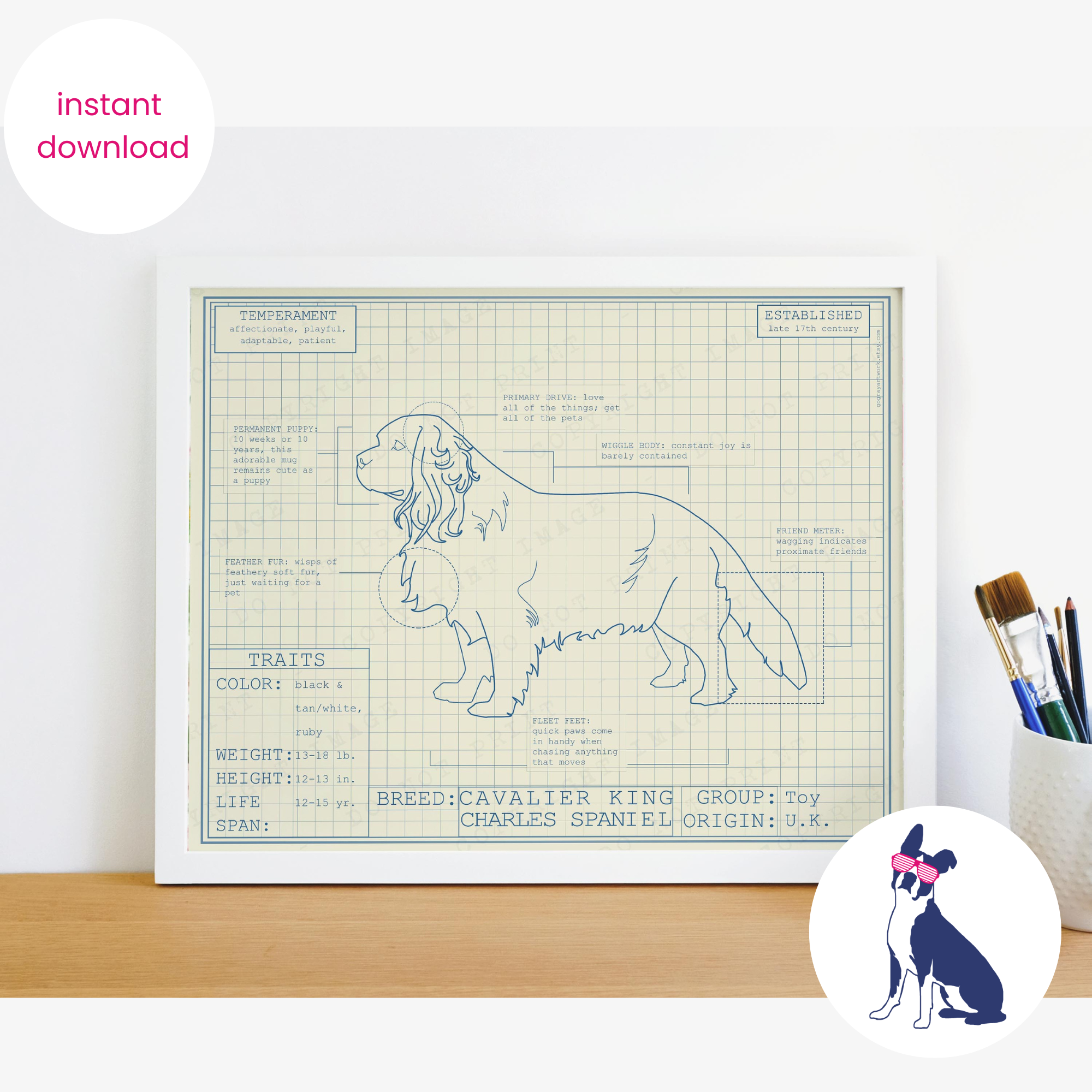 Downloadable cavalier king Charles spaniel dog breed blueprint artwork
