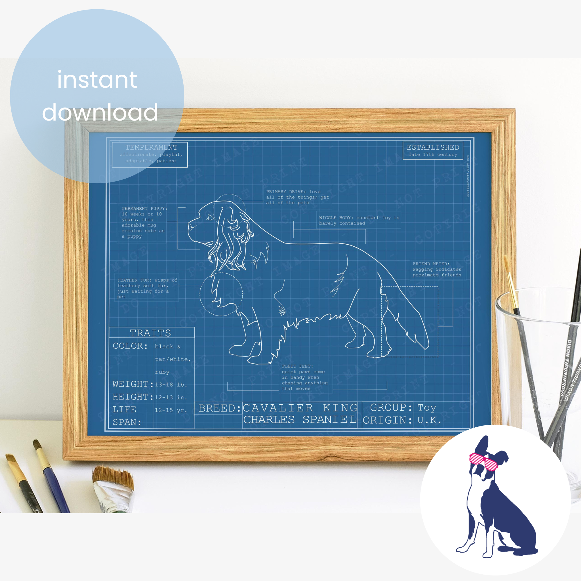 Downloadable cavalier king Charles spaniel dog breed blueprint artwork