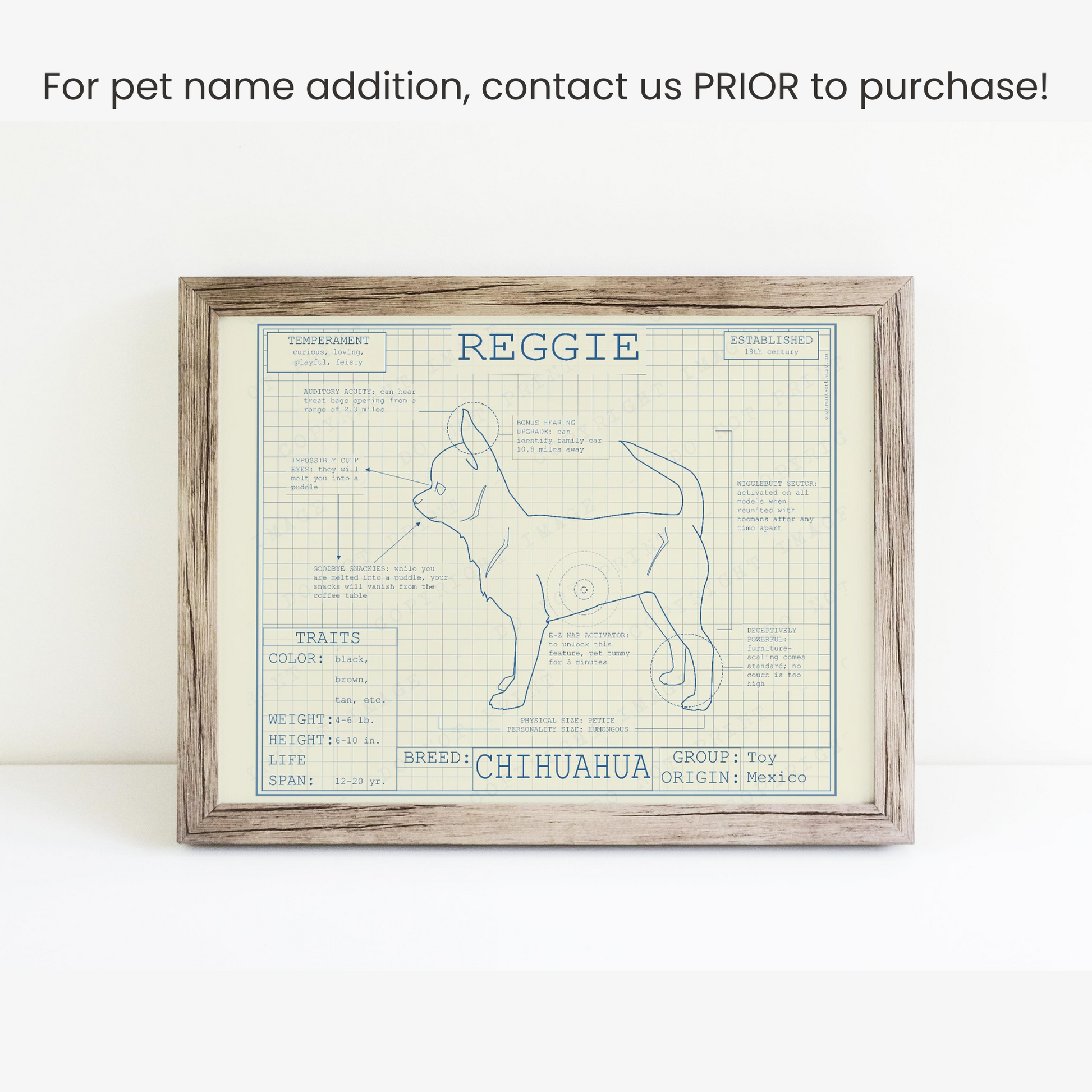 Downloadable Chihuahua dog breed blueprint artwork