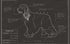 Blueprint of a cocker spaniel poster artwork