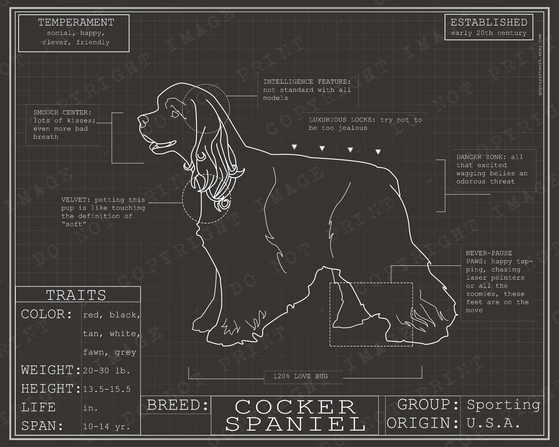 Blueprint of a cocker spaniel poster artwork