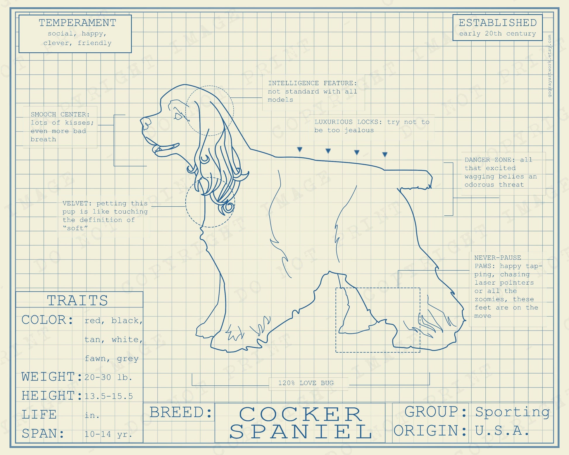 Blueprint of a cocker spaniel poster artwork