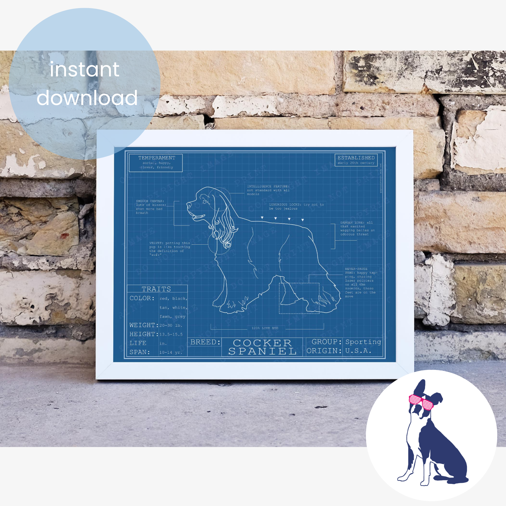 Downloadable cocker spaniel dog breed blueprint artwork