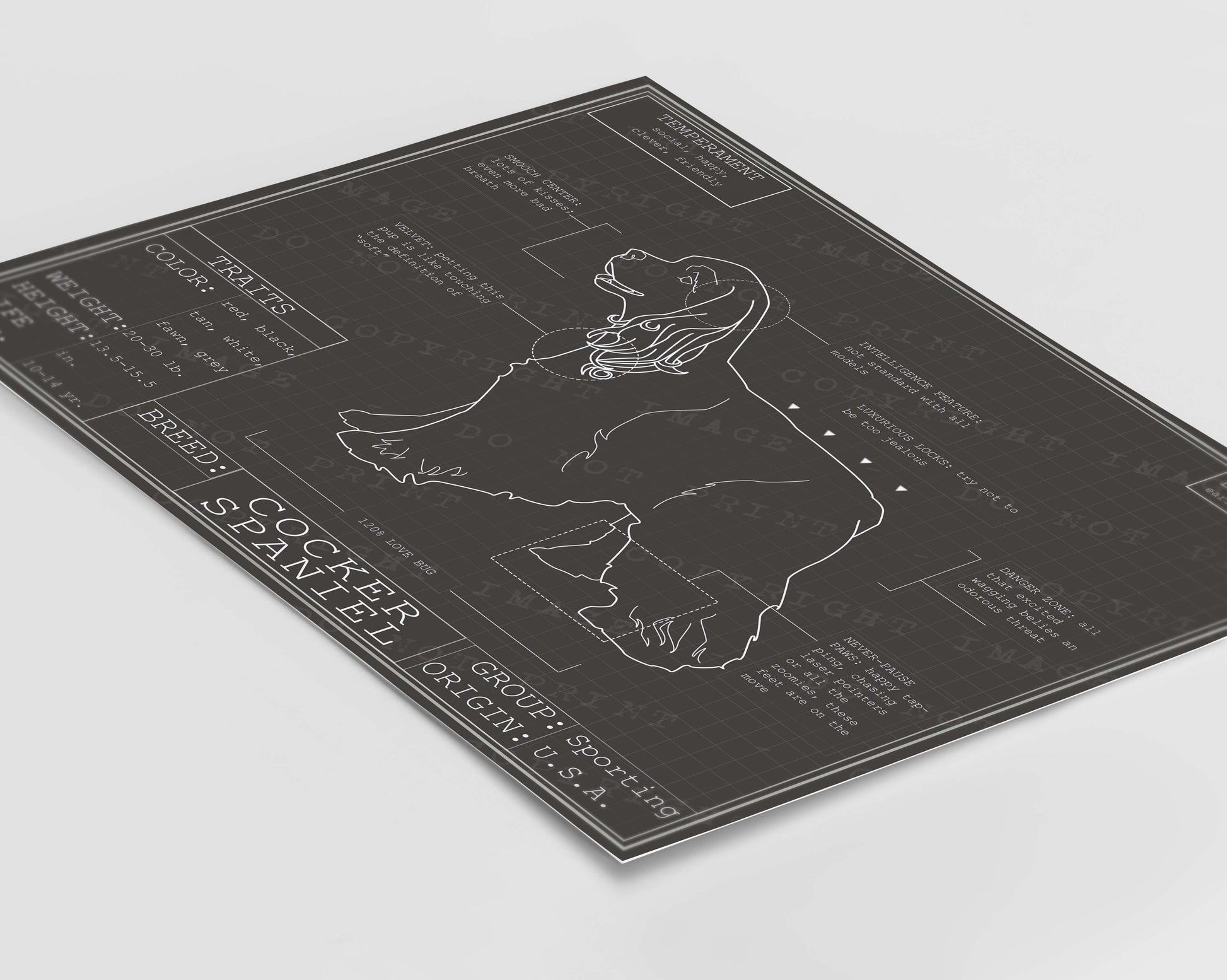 Downloadable cocker spaniel dog breed blueprint artwork