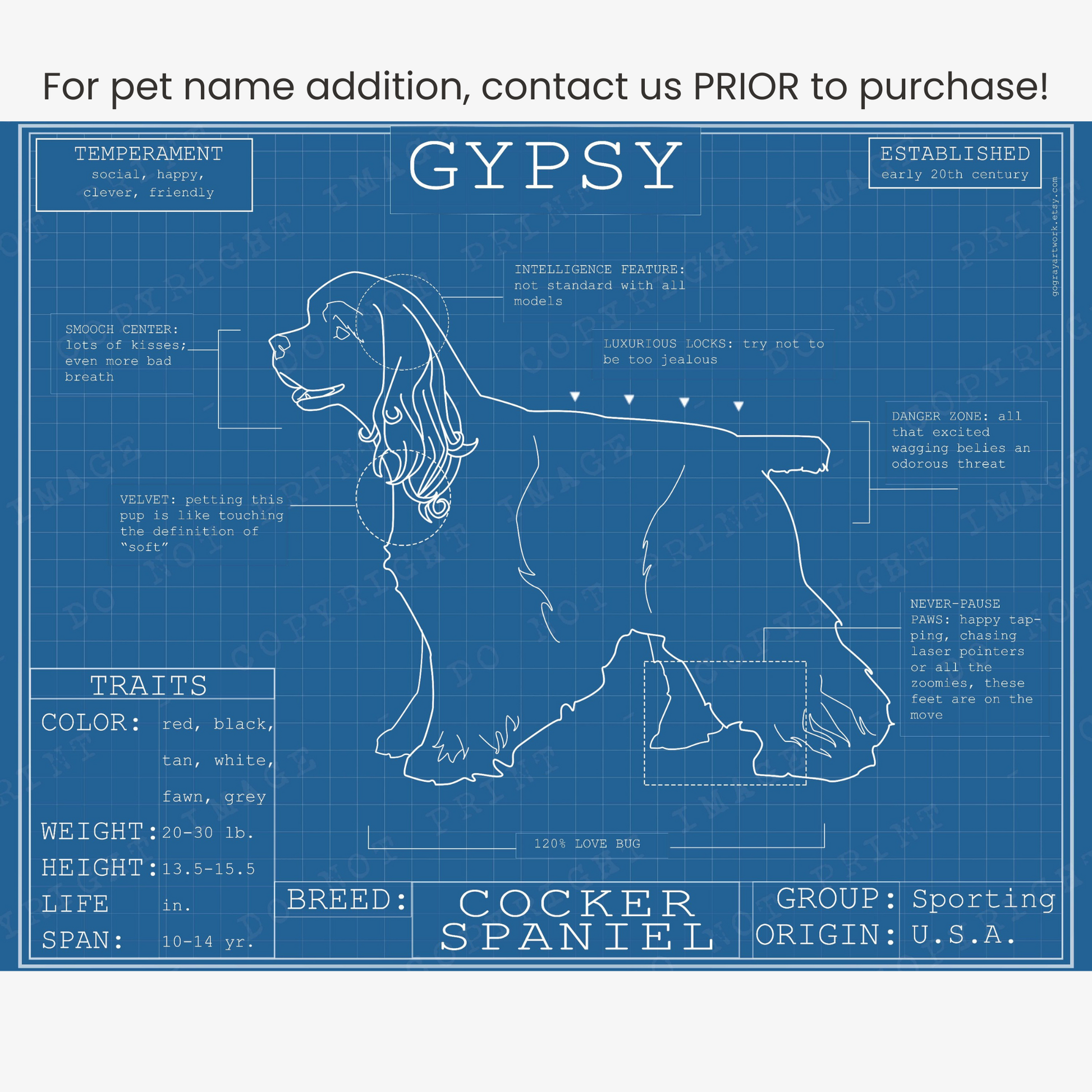 Downloadable cocker spaniel dog breed blueprint artwork