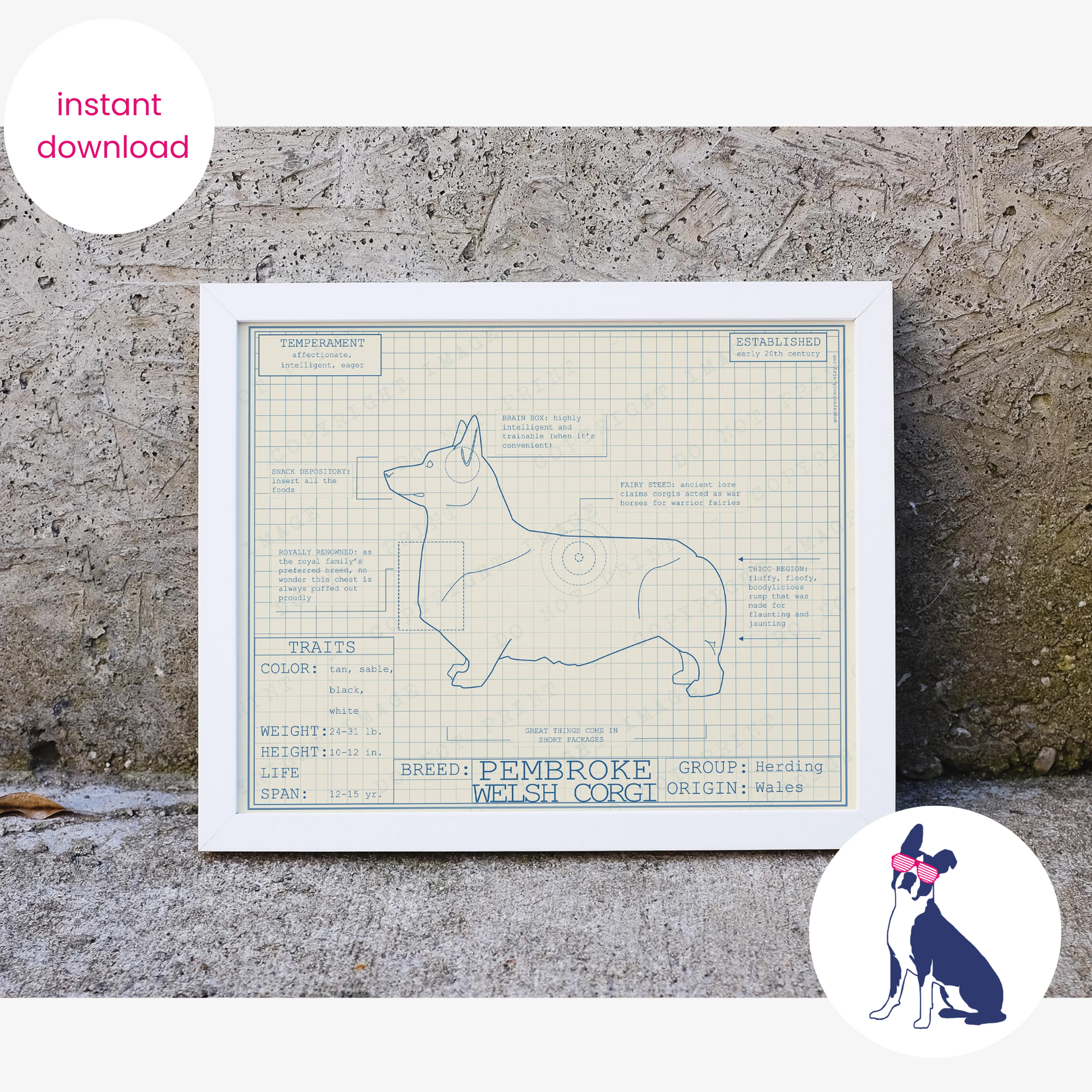 Downloadable Pembroke Welsh Corgi dog breed blueprint artwork