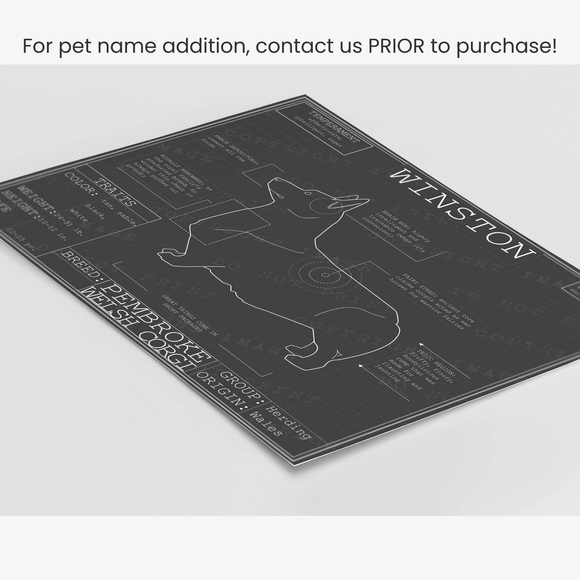 Downloadable Pembroke Welsh Corgi dog breed blueprint artwork