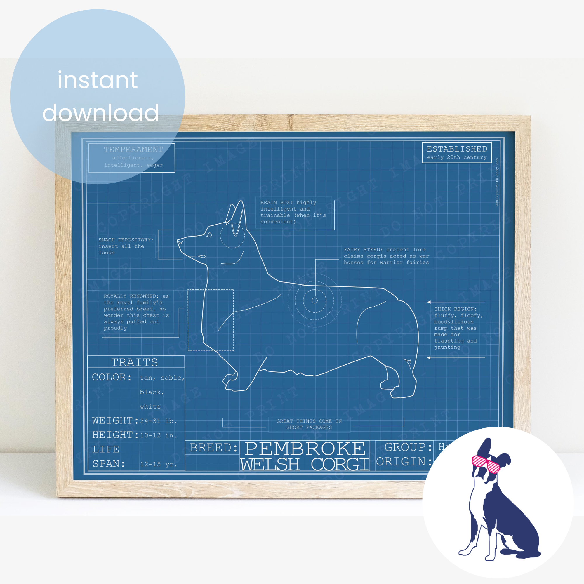 Downloadable Pembroke Welsh Corgi dog breed blueprint artwork