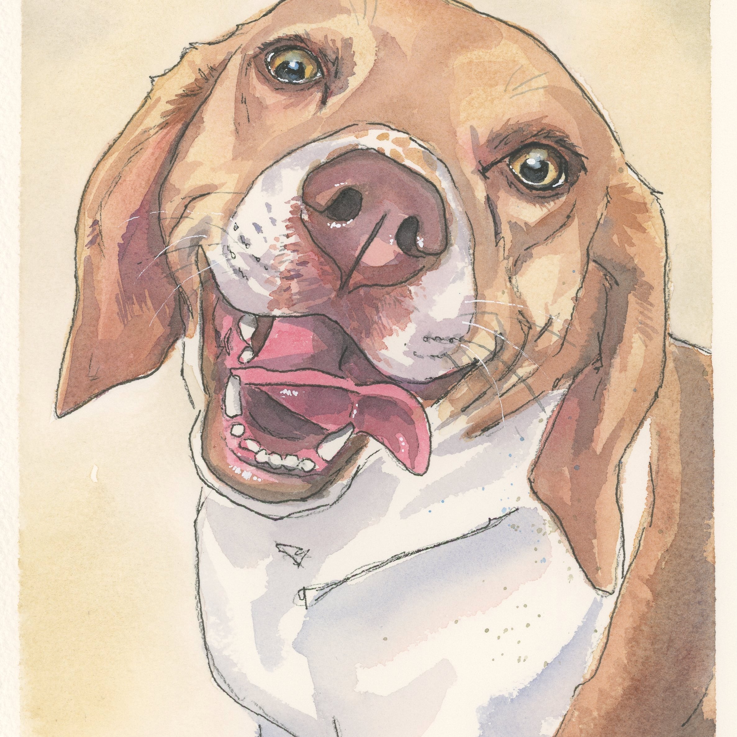 custom pet painting Artistic illustration of a dog with a light brown coat and white chest on a beige background.