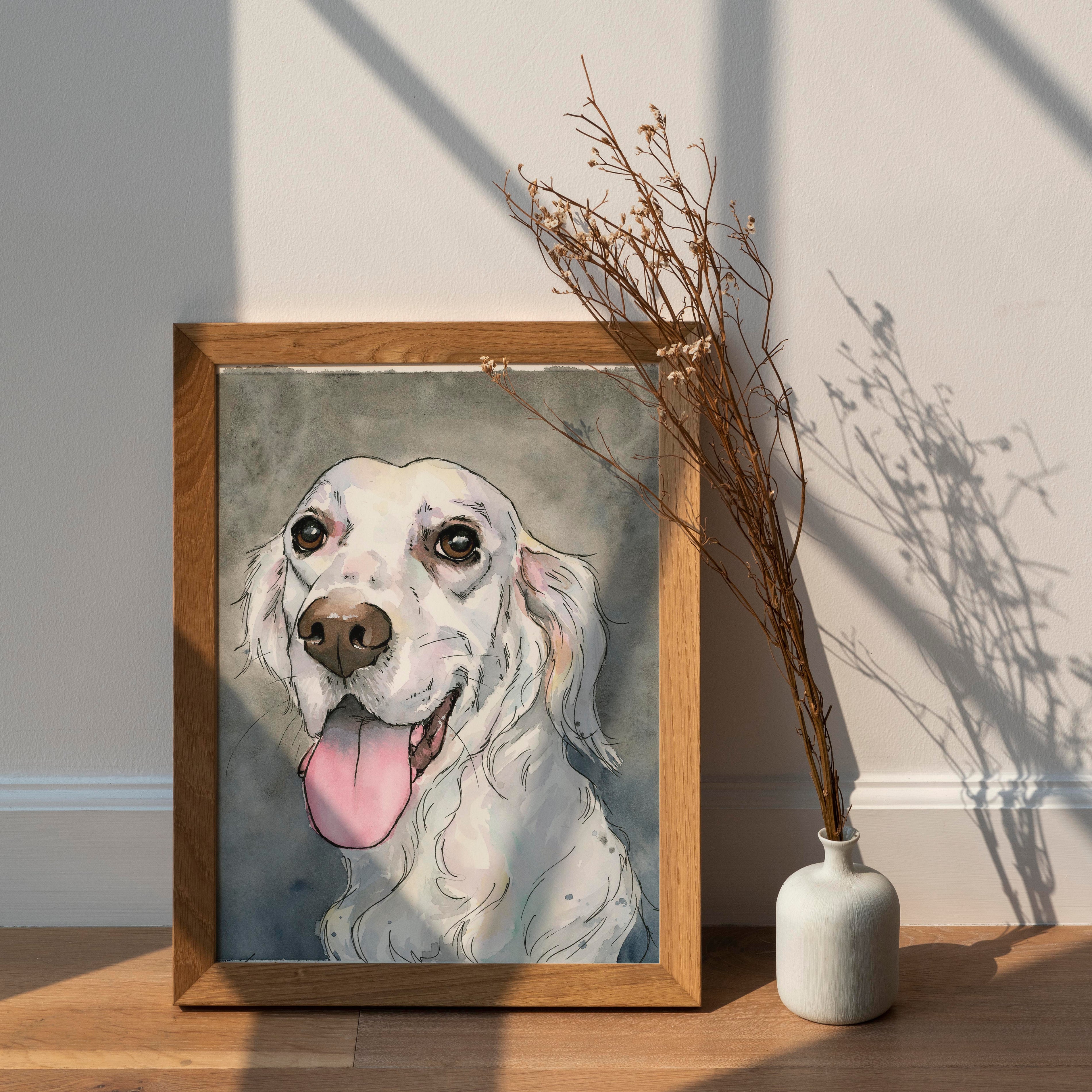 Pet Portraits